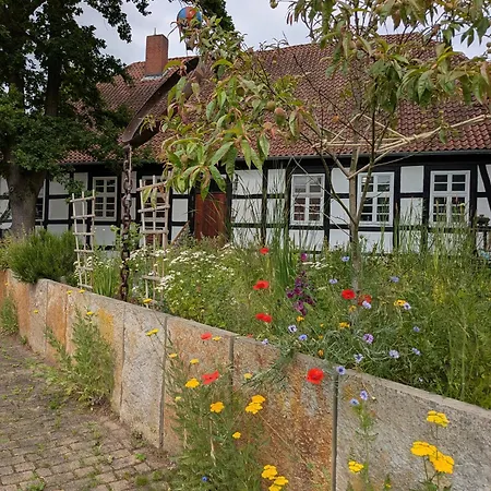 Alte Dorfschule, Mit Mittelalter Μίντεν