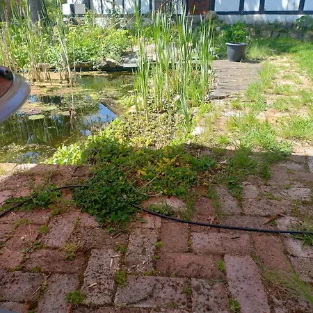 Alte Dorfschule, Mit Mittelalter