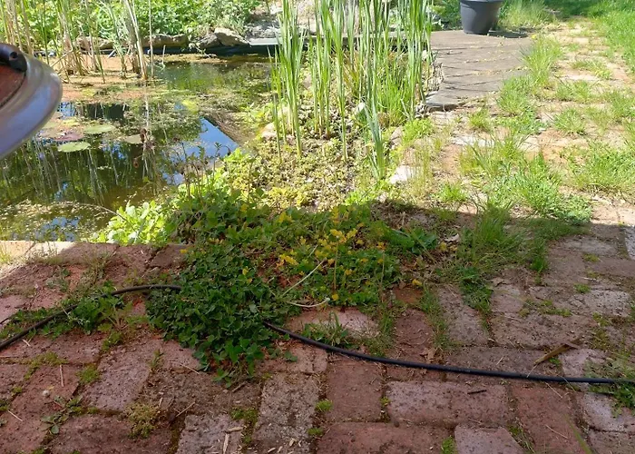 Alte Dorfschule, Mit Mittelalter